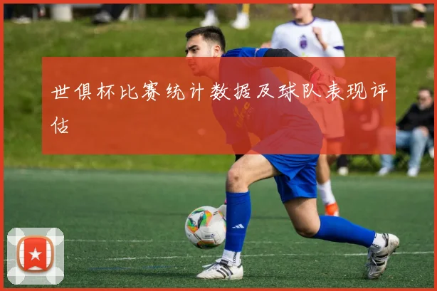 世俱杯比赛统计数据及球队表现评估