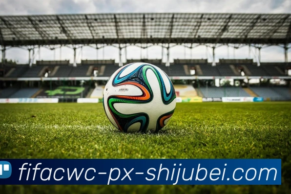 世界杯直播平台生态图